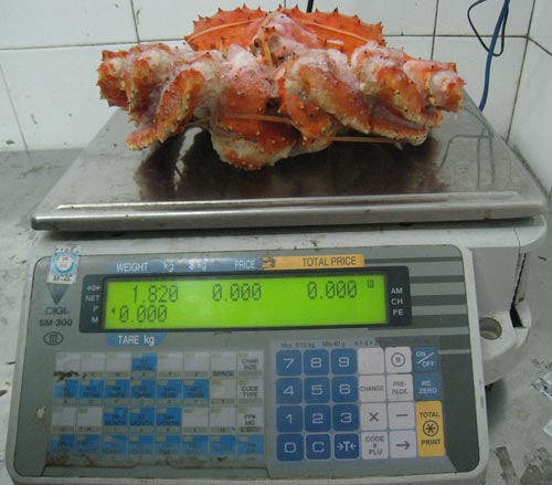 cua khổng lồ