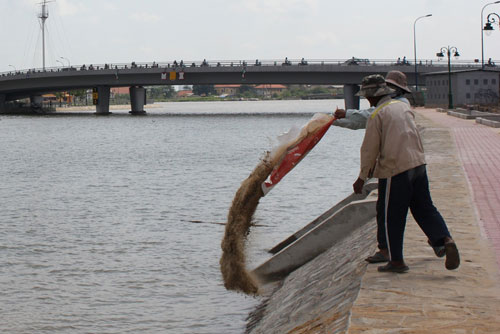 Dân ta xả rác 