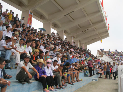 Thót tim xem  vòng đấu loại chọi trâu Đồ Sơn 2012