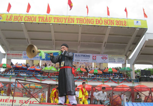 Thót tim xem  vòng đấu loại chọi trâu Đồ Sơn 2012 2