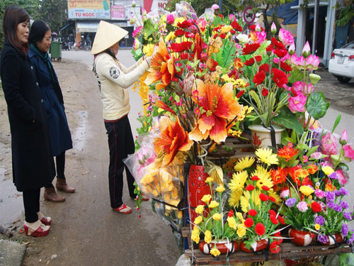 Hoa trên đường phố Huế