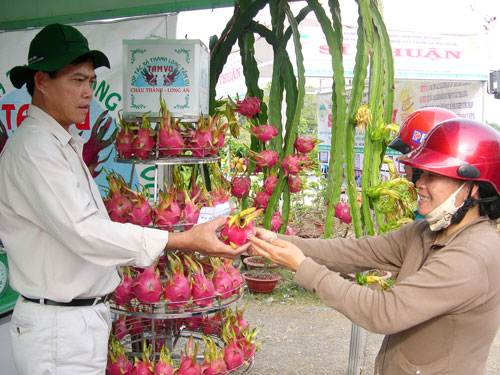 Xây dựng thương hiệu thanh long Châu Thành 