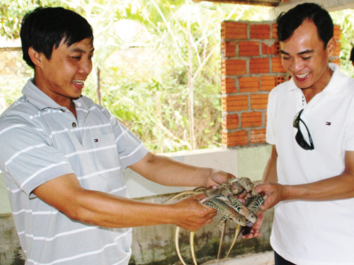 Mưu sinh từ đồng vốn nhỏ