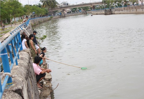 Đông đảo người dân kéo đến rạch Tây Ninh vớt cá chết nổi trên mặt rạch