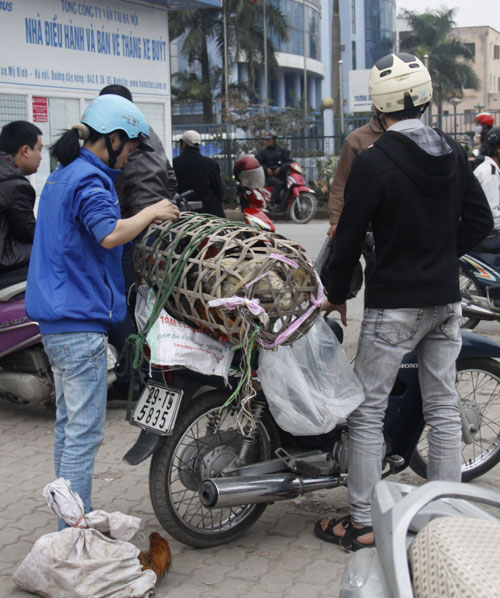 lên hà nội sau tết