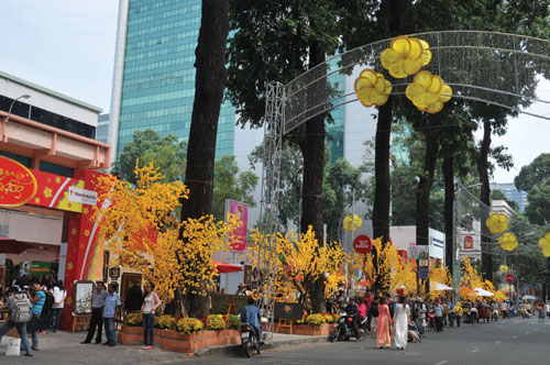 Những cung đường xuân 1