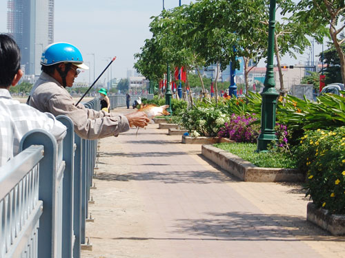 Sôi động người thả, kẻ bắt cá chép