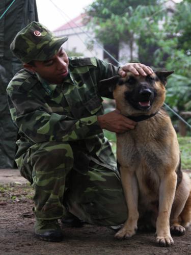 Chó nghiệp vụ và lính luyện khuyển có một mối quan hệ khăng khít, khó tách rời 2