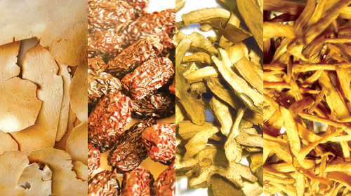 Phục linh, Táo, Xích thược, Ngưu tất 