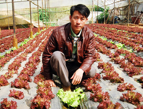 Nông dân công nghệ cao: Làm giàu nhờ rau “tử tế”