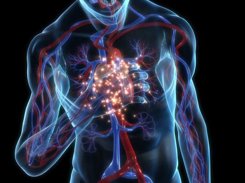 Xơ vữa động mạch có thể là do lão hóa