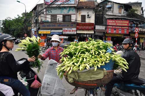 Nhiều người chơi hoa chọn mua