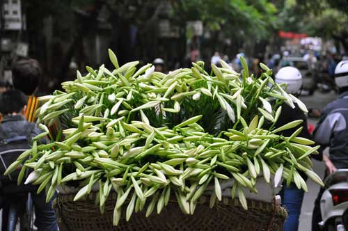Những gánh hoa loa kèn làm đẹp thêm đường phố Hà Nội mỗi độ tháng 4 về