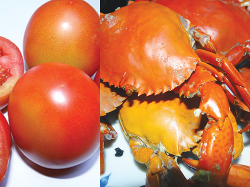 Cà chua, hải sản tốt cho sức khỏe nam giới - Ảnh: Minh Khôi