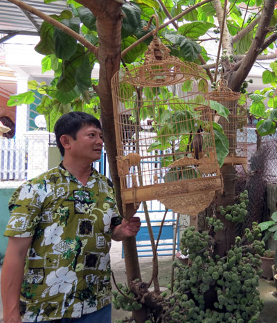 Nghề chơi cũng lắm công phu - Kỳ 4: Hai vua chim cảnh ở Huế