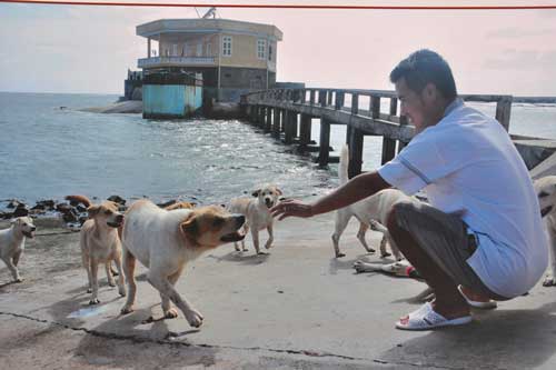 Chiến sĩ cùng đàn chó nuôi trên đảo