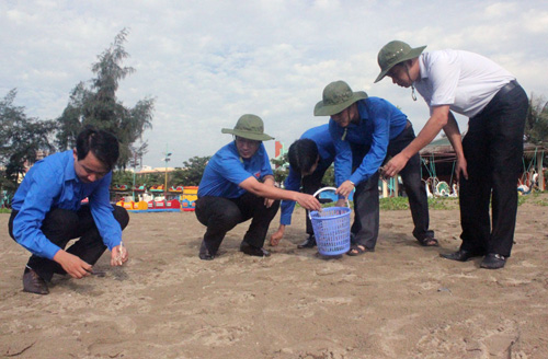 Trong Chiến dịch hè tình nguyên 2013, tuổi trẻ thị xã Sầm Sơn (Thanh Hóa) sẽ tường xuyên tham gia làm sạch môi trường biển