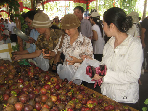 Giảm giá từ 20 đến 40% tại lễ hội trái cây Nam Bộ năm 2013 5