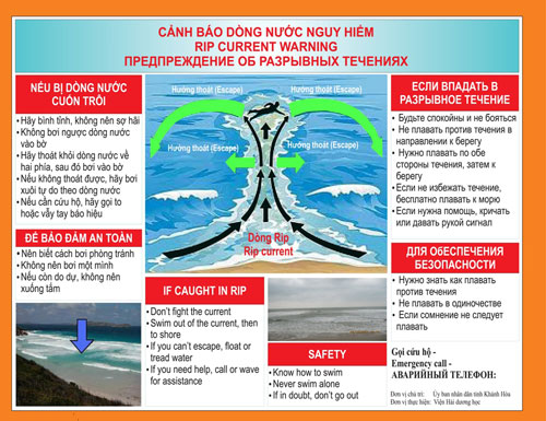Nhiều dòng “tử thần” ở bãi biển4
