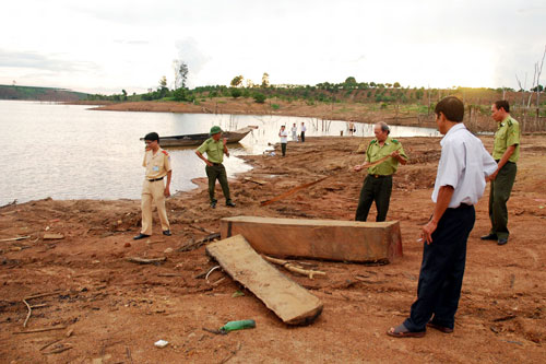 Gỗ lậu ở bến sông
