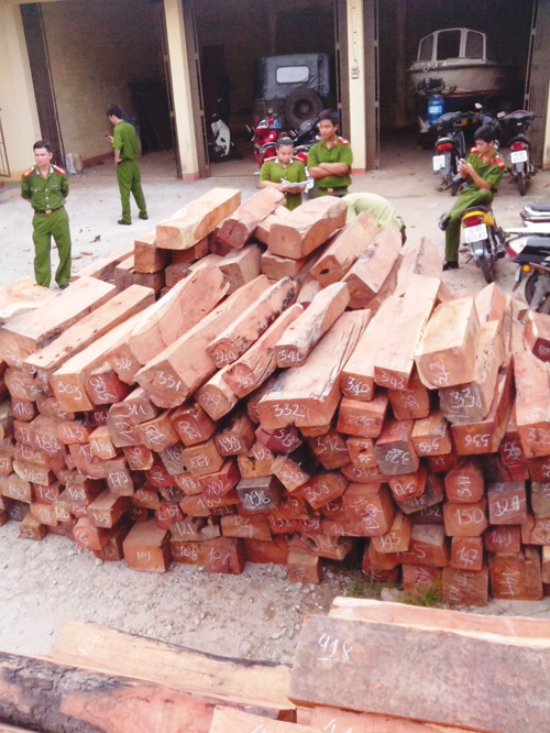 Phá vụ vận chuyển gỗ lậu 
