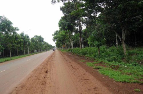Quốc lộ... hai màu 