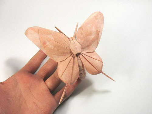 Nghệ sĩ origami Việt Nam được khen ngợi trên báo Mỹ 6