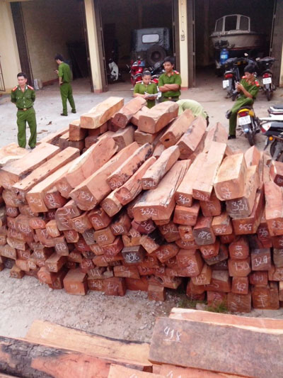 Phá vụ vận chuyển gỗ lậu trị giá trên 300 triệu đồng 1