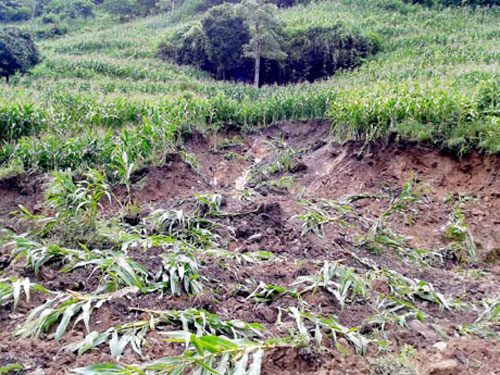 2 ngày mưa lũ, Hà Giang thiệt hại 16 tỉ đồng
