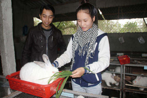 Hiếu và Lê chăm sóc thỏ giống tại trang trại của mình - Ảnh: Hoàng Sơn
