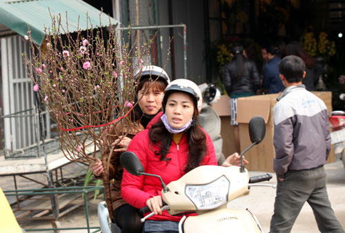 chợ hoa Tết Quảng An
