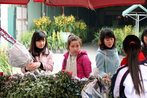 chợ hoa Tết Quảng An