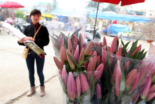 chợ hoa Tết Quảng An