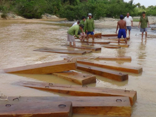 Gỗ lậu trên sông