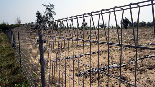 Đặc biệt trên báo in ngày 06.02.20141