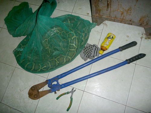 Tiền Giang: 2 tên trộm Trăn giữa đêm khuya1