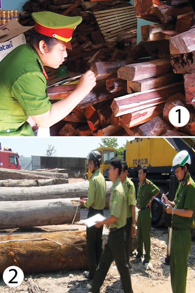 Gỗ trắc vô chủ và gỗ kìn kìn trong container