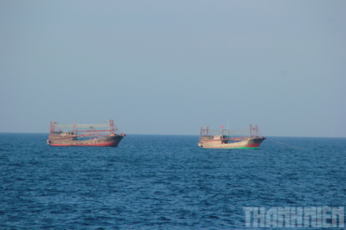 Tàu gỗ của ngư dân Trung Quốc hoạt động ngang nhiên trên vùng biển Việt Nam 8