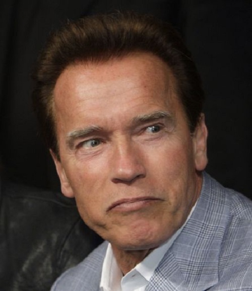 Nam diễn viên, cựu thống đốc tiểu bang California Arnold Schwarzenegger