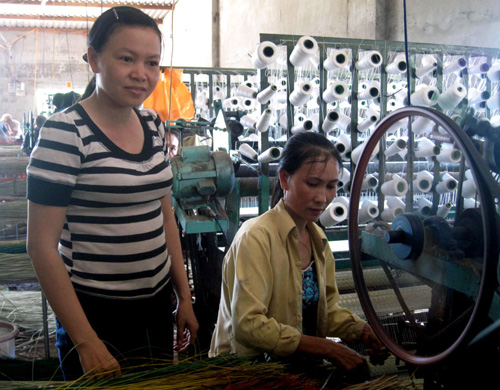 Làm giàu bằng nghề chiếu cói