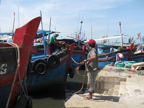 Tàu thuyền neo đậu tại cảng Đông Hải, phòng tránh bão