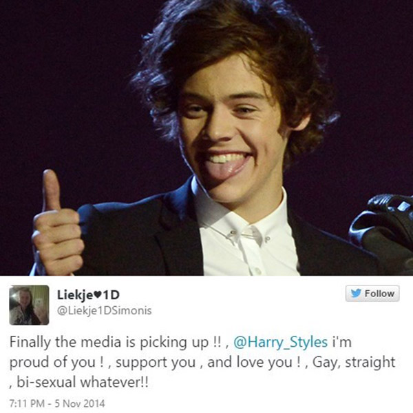 Fan khẳng định trung thành với Harry Styles mặc tin đồn lưỡng tính