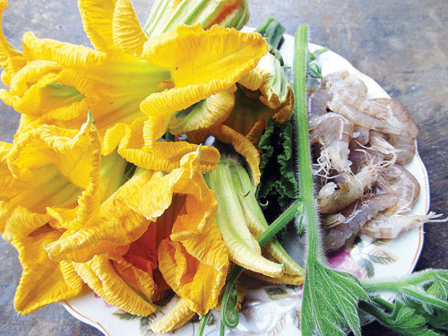 Nhớ canh bông túng nấu nướng nướng tôm