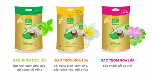 Luận về sạch, ngon ở gạo Hoa Lúa