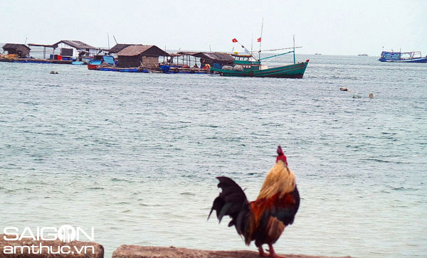 Mê say cảnh đẹp và hải sản quần đảo Nam Du 13