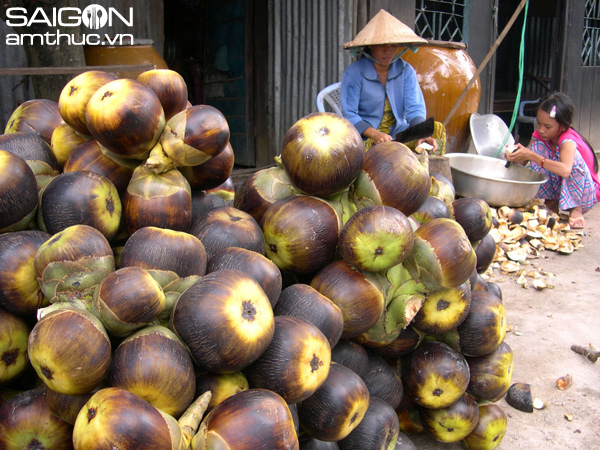 Dân Bảy Núi vào mùa đường thốt nốt