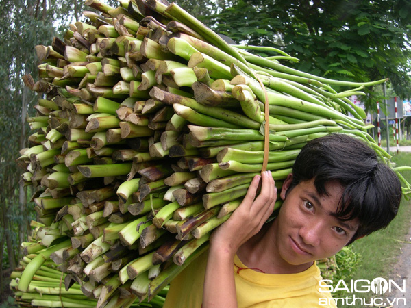 Chùm ảnh: Sắc màu mưu sinh mùa lũ Miền Tây