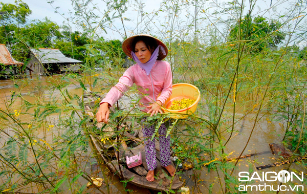 Chùm ảnh: Sắc màu mưu sinh mùa lũ Miền Tây 6