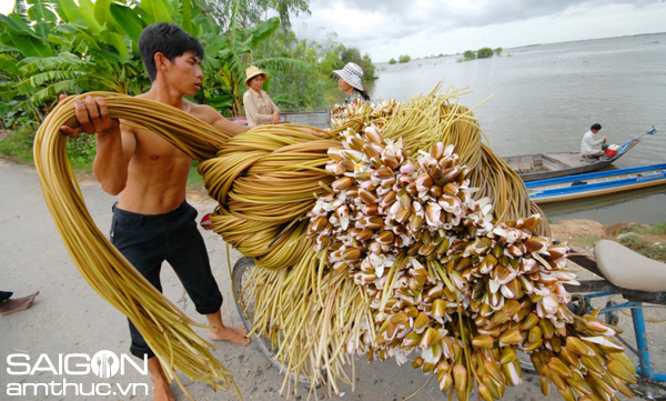 Chùm ảnh: Sắc màu mưu sinh mùa lũ Miền Tây 10