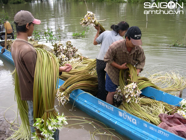 Chùm ảnh: Sắc màu mưu sinh mùa lũ Miền Tây 11